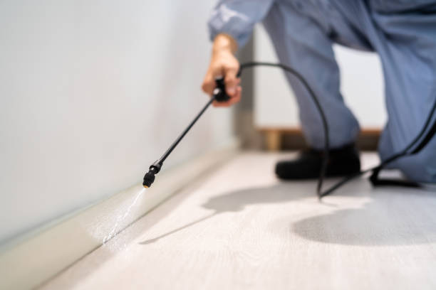 Rodent Entry Point Assessment in Eastpoint