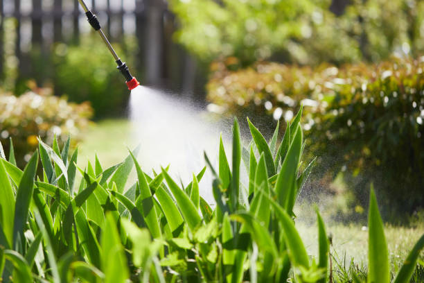 Tamper-Resistant Bait Stations for Rodents in Eastpoint