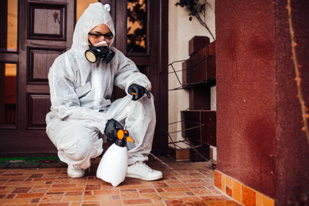 Attic and Crawl Space Rodent Treatment in Eastpoint